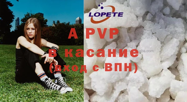 амф Каменногорск